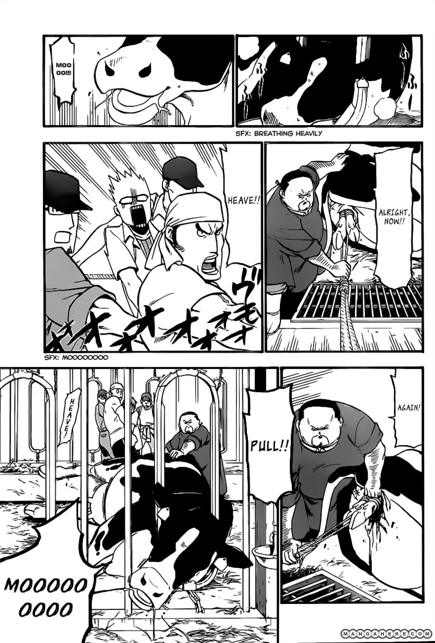 Chapter 17 image 14